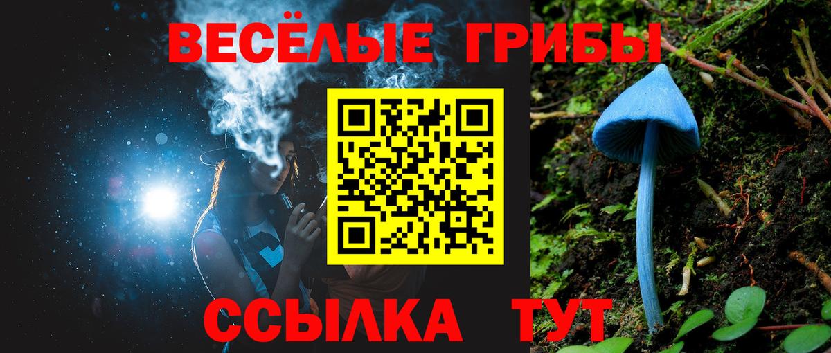 Псилоцибиновые грибы мухоморы  Вход с VPN  Рассказово 